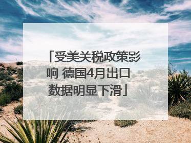 受美关税政策影响 德国4月出口数据明显下滑