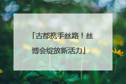 古都携手丝路！丝博会绽放新活力