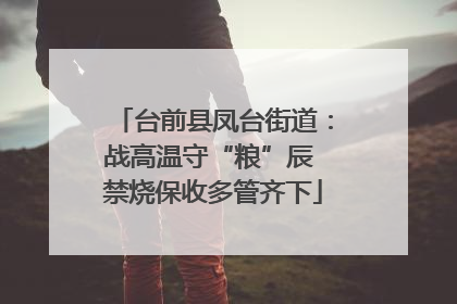 台前县凤台街道：战高温守“粮”辰 禁烧保收多管齐下