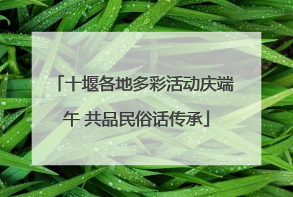 十堰各地多彩活动庆端午 共品民俗话传承