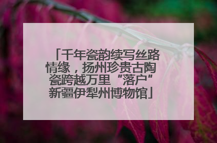 千年瓷韵续写丝路情缘，扬州珍贵古陶瓷跨越万里“落户”新疆伊犁州博物馆