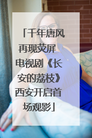 千年唐风再现荧屏 电视剧《长安的荔枝》西安开启首场观影