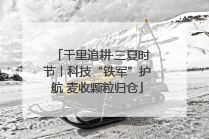 千里追耕·三夏时节丨科技“铁军”护航 麦收颗粒归仓
