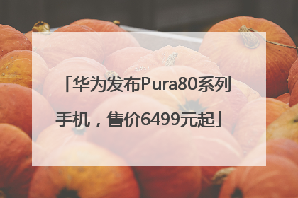 华为发布Pura80系列手机，售价6499元起