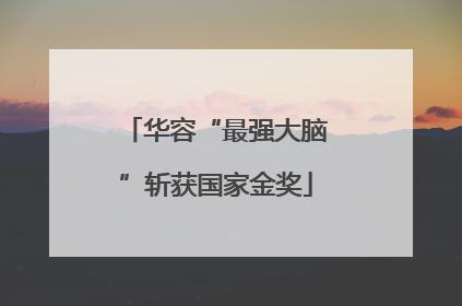 华容“最强大脑”斩获国家金奖