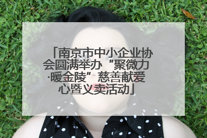南京市中小企业协会圆满举办“聚微力·暖金陵”慈善献爱心暨义卖活动