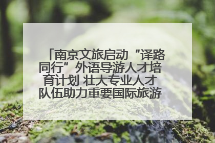 南京文旅启动“译路同行”外语导游人才培育计划 壮大专业人才队伍助力重要国际旅游目的地建设