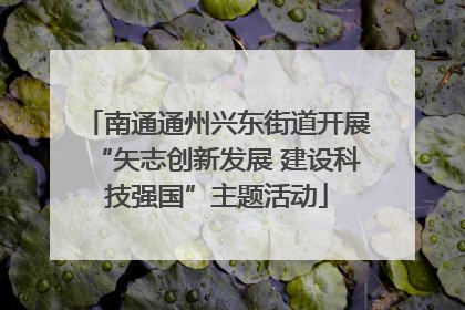 南通通州兴东街道开展“矢志创新发展 建设科技强国”主题活动