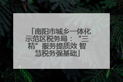 南阳市城乡一体化示范区税务局：“三精”服务提质效 智慧税务强基础