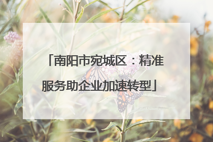 南阳市宛城区：精准服务助企业加速转型
