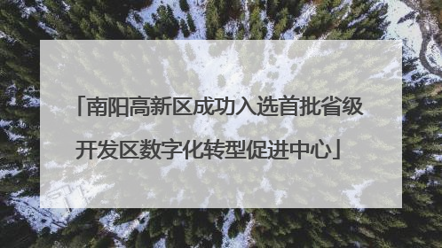 南阳高新区成功入选首批省级开发区数字化转型促进中心