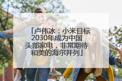 卢伟冰：小米目标2030年成为中国头部家电，非常期待和美的海尔并列