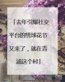 去年引爆社交平台的绣球花节又来了，就在青浦这个村