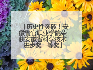 历史性突破！安徽警官职业学院荣获安徽省科学技术进步奖一等奖