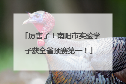 厉害了！南阳市实验学子获全省预赛第一！