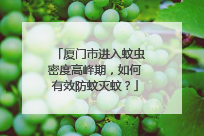 厦门市进入蚊虫密度高峰期，如何有效防蚊灭蚊？