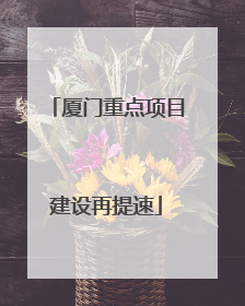 厦门重点项目建设再提速