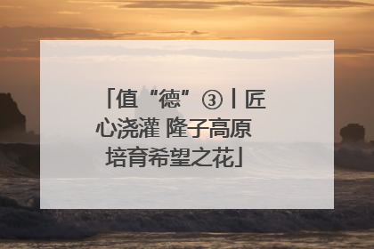 值“德”③丨匠心浇灌 隆子高原培育希望之花