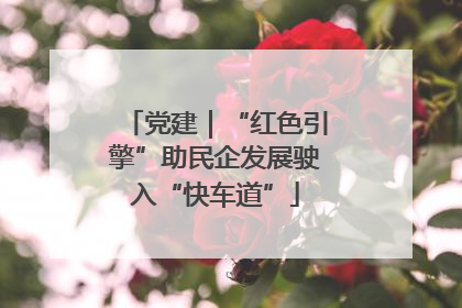 党建｜“红色引擎”助民企发展驶入“快车道”