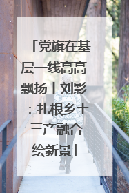 党旗在基层一线高高飘扬丨刘影：扎根乡土 三产融合绘新景