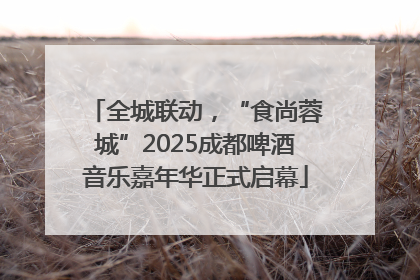 全城联动，“食尚蓉城”2025成都啤酒音乐嘉年华正式启幕
