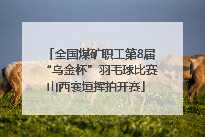 全国煤矿职工第8届“乌金杯”羽毛球比赛山西襄垣挥拍开赛