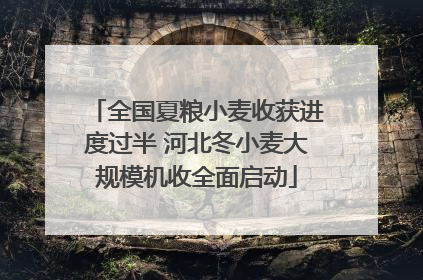全国夏粮小麦收获进度过半 河北冬小麦大规模机收全面启动