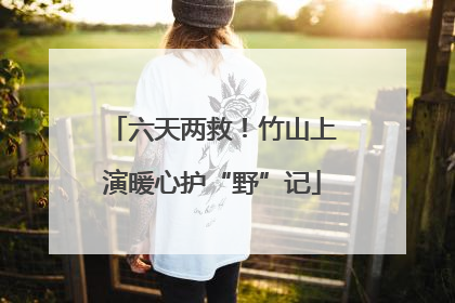 六天两救！竹山上演暖心护“野”记