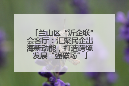 兰山区“沂企联”会客厅：汇聚民企出海新动能，打造跨境发展“强磁场”
