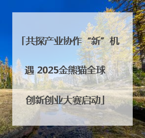 共探产业协作“新”机遇 2025金熊猫全球创新创业大赛启动
