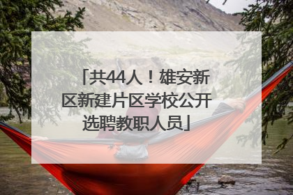 共44人！雄安新区新建片区学校公开选聘教职人员