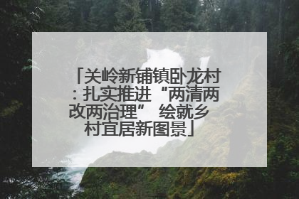 关岭新铺镇卧龙村：扎实推进“两清两改两治理” 绘就乡村宜居新图景