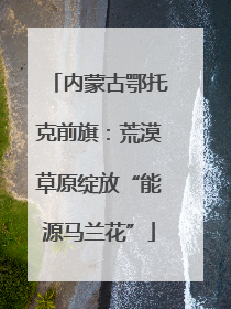 内蒙古鄂托克前旗：荒漠草原绽放“能源马兰花”