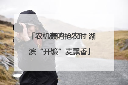 农机轰鸣抢农时 湖滨“开镰”麦飘香