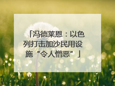 冯德莱恩：以色列打击加沙民用设施“令人憎恶”