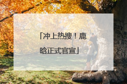 冲上热搜！鹿晗正式官宣