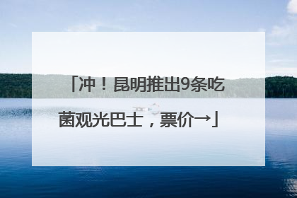 冲！昆明推出9条吃菌观光巴士，票价→