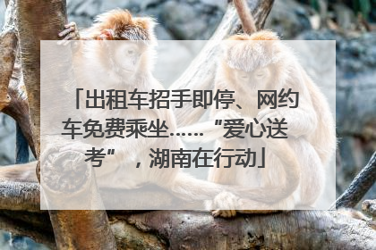 出租车招手即停、网约车免费乘坐……“爱心送考”，湖南在行动
