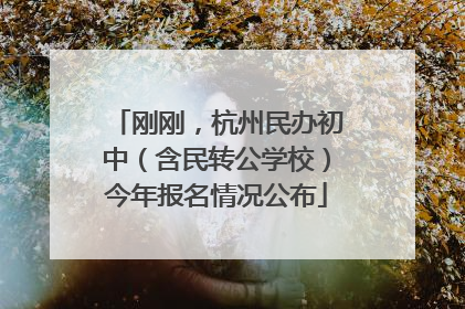刚刚，杭州民办初中（含民转公学校）今年报名情况公布
