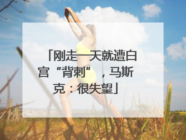 刚走一天就遭白宫“背刺”，马斯克：很失望