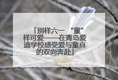别样六一 “童”样可爱——在青岛爱迪学校感受爱与童真的双向奔赴