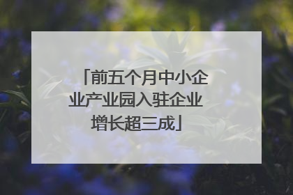 前五个月中小企业产业园入驻企业增长超三成