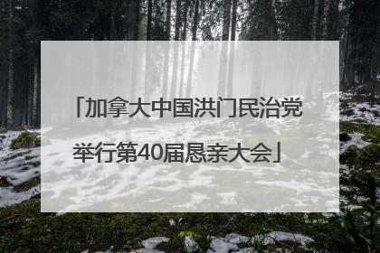 加拿大中国洪门民治党举行第40届恳亲大会