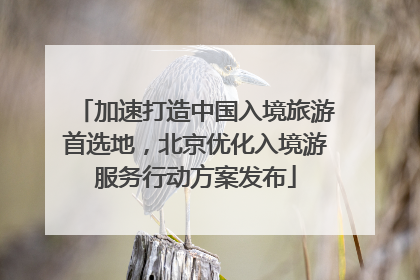 加速打造中国入境旅游首选地，北京优化入境游服务行动方案发布