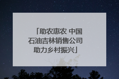 助农惠农 中国石油吉林销售公司助力乡村振兴