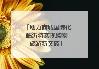 助力商城国际化 临沂将实现购物旅游新突破