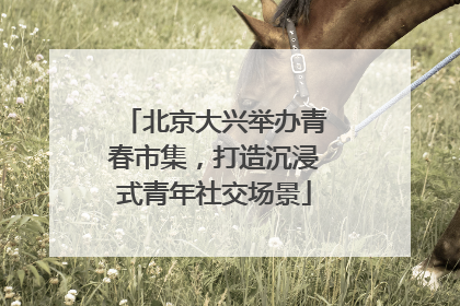 北京大兴举办青春市集，打造沉浸式青年社交场景