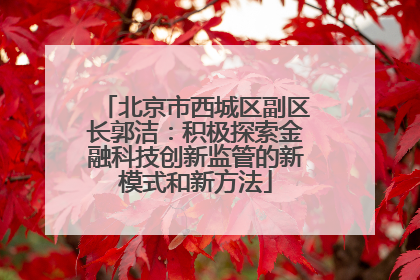北京市西城区副区长郭洁：积极探索金融科技创新监管的新模式和新方法