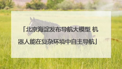北京海淀发布导航大模型 机器人能在复杂环境中自主导航