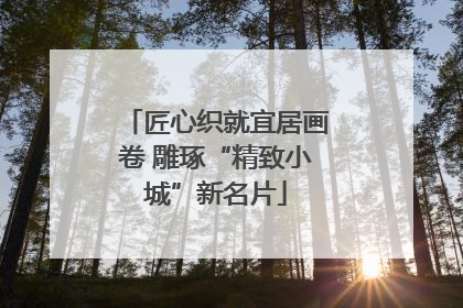 匠心织就宜居画卷 雕琢“精致小城”新名片